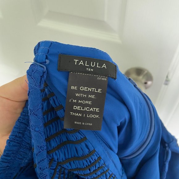 Aritzia Talula Blue Lace Dress (Size 10) - Picture 4 of 5